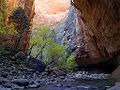 Image 9 Virgin River Narrows Photo credit: Jon Sullivan, pdphoto.org The Virgin River Narrows in Zion National Park, located near Springdale, Utah, is a 16-mile long slot canyon along the Virgin River. Recently rated as number five out of National Geographic's Top 100 American Adventures, it is one of the most rewarding hikes in the world. More selected pictures