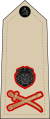 Lieutenant general (Malawi Army)