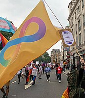 An Autistic Pride flag at a "Pride is a Protest" march in June 2021