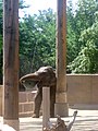 An Asian Elephant in Denver Zoo manipulating a suspended ball provided as environmental enrichment.