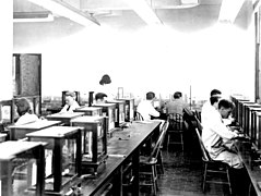 Labs in Chemistry Department in Medical Building 1948