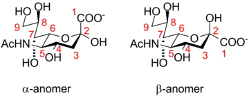 Neuraminic acid anomeric configuration