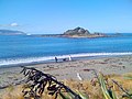 Walking the dog on the beach at Island Bay; Interislander ferry and Tapu Te Ranga Island in background