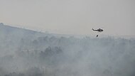 Cyprus Police Aviation Unit Bell 412EP participating in fire fighting efforts in Israel, during the 2010 Mount Carmel forest fire
