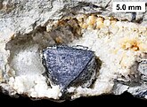 Sphalerite crystal in geodized brachiopod