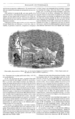 Artikel im Le Magasin pittoresque, 1842, Seite 173.