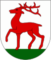 Cervo passante (Rzepin, Polonia)