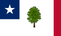 美利堅聯盟國时期密西西比州州旗 (非官方, 1861–1865)