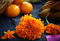 Marigold on an altar in Mexico