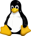 Thumbnail for Linux kernel