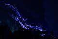 Image 58Blue lava of Ijen crater, East Java (from Tourism in Indonesia)