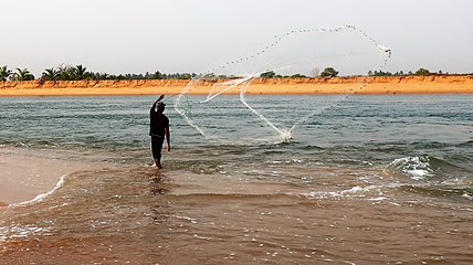 Kalastaja Mono-joen suulla Grand-Popossa Beninissä.