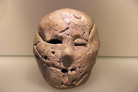 Craniu tencuit, c. 9000 î.e.n.