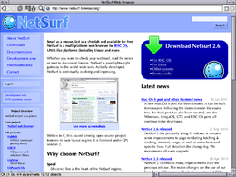 NetSurf su RISC OS