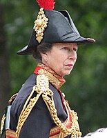Anne, Princess Royal, as Colonel of the Blues and Royals, at the Trooping the Colour in 2013.