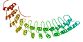 Membrane-binding domain of human ankyrin R, showing the ankyrin repeat motif
