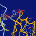 Highlighting two salt bridges in hemoglobin tetramer (hemo group as sticks at bottom-right)