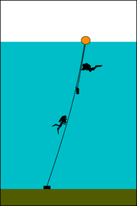 Top tensioned shotline: The line passes through a ring at the float and is tensioned by a smaller weight hanging from it. This weight may be hooked to the main part of the line by a sliding clip to restrain it from swinging.