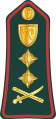 General (Gambian National Army)