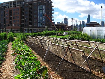 Urban Farm located in the city of Chicago