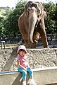 The old style elephant enclosure at Rio de Janeiro Zoo (Brazil).