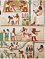 Image 36Agricultural scenes of threshing, a grain store, harvesting with sickles, digging, tree-cutting and ploughing from Ancient Egypt. Tomb of Nakht, 15th century BC. (from History of agriculture)