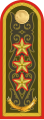 Quân hàm Thượng tướng Kazakhstan.
