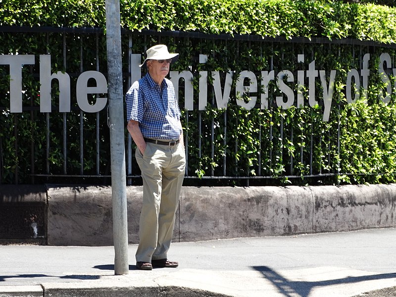 File:Man at Crosswalk outside University of Sydney Entrance - Sydney - Australia (11231834753).jpg