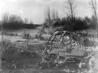 Frame of Crow sweat lodge in snow
