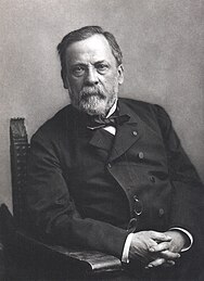Louis Pasteur, (1822–1895), known for, with Koch, the founding of modern bacteriology, contributions to germ theory, and pasteurization.