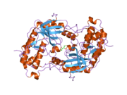 1yrp: Catalytic domain of human ZIP kinase phosphorylated at Thr265