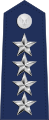 미국 공군 대장 견장
