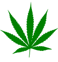 Thumbnail for Cannabis strain