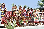 Baile Flor de Piña, a traditional dance evoking the delicate of pineapple blossoms