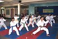Image 15Karatekas wearing different colored belts (from Karate)