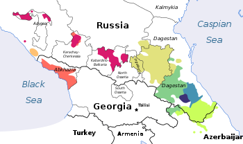 Caucasic languages