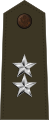 美國陸軍少將肩章（綠軍服）