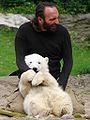The celebrity polar bear Knut was raised by hand at the Zoological Garden in Berlin.
