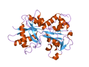 2o84: Crystal structure of K206E mutant of N-lobe human transferrin