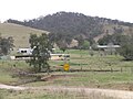Thumbnail for Station (Australian agriculture)