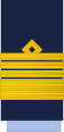 General del aire (Uruguayan Air Force)