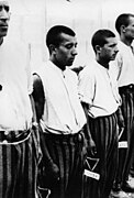 Triangles noirs visibles sur les pantalons des détenus roms à Dachau.