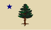 Zastava Mainea (1901–1909)