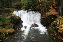 A waterfall surrounded by forest