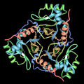 Chloramphenicol acetyltransferase (created with MBT SimpleViewer)