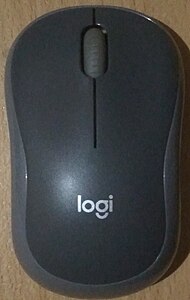 A Logitech M186 Mouse from 2021