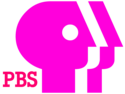 PBS logo from 1992 to 1996.