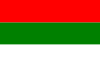 Flag of Tuluá