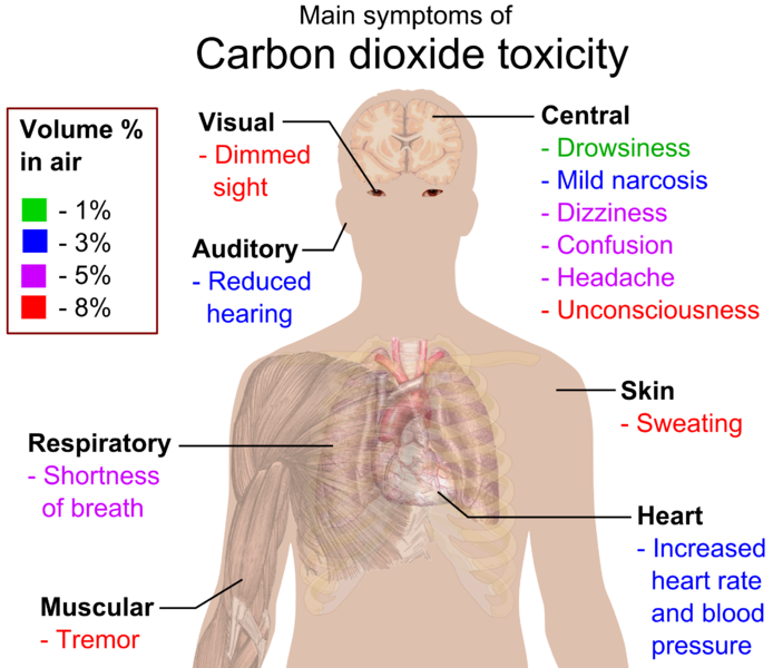 File:Main symptoms of carbon dioxide toxicity.png