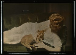 Ann Murdock with Buzzer the cat, autochrome